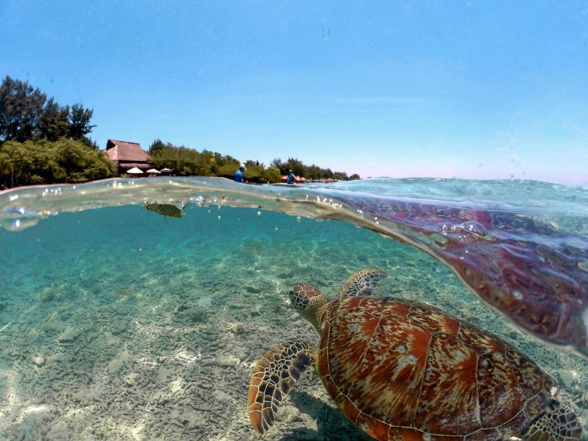 Mimpi Bungalow Gili Meno Bagian luar foto